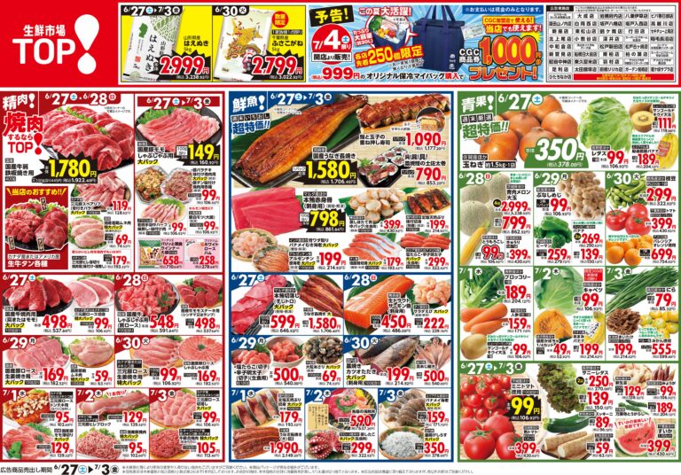 6月27日号