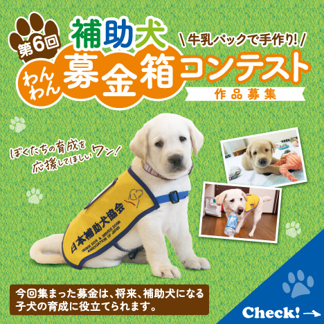 第6回 補助犬わんわん募金箱コンテスト